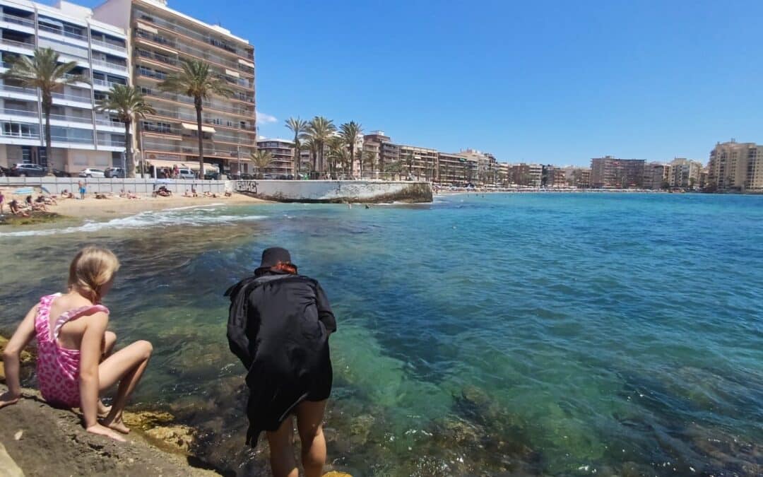 Ibero Homes impulsa la renovación del mercado inmobiliario en Torrevieja y Orihuela Costa en 2025
