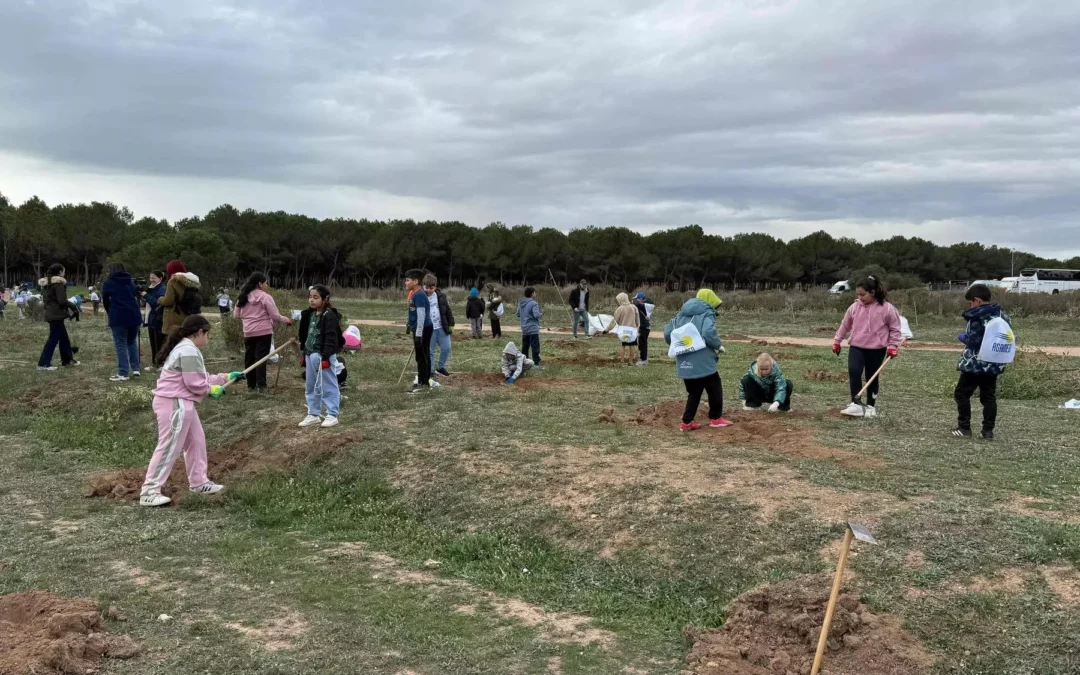 Mil alumnos protagonizan una gran plantación de árboles en el Parque Natural de Torrevieja