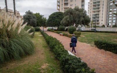 Más parques, más árboles y tecnología: así se renueva el cuidado de los espacios verdes en Torrevieja