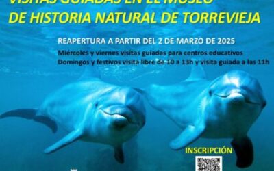 Torrevieja reabre el Museo de Historia Natural con visitas guiadas gratuitas para colegios, familias y público general